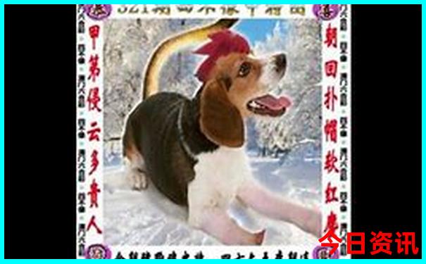 暑假7天旅游攻略